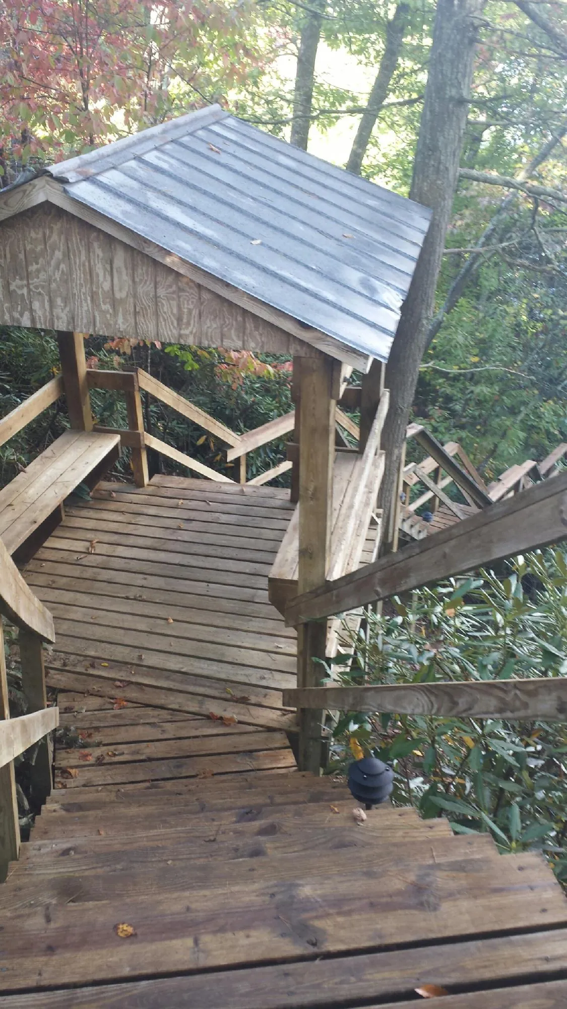 Metal roofed shelter over wooden steps on a wooded walkway — Skylight Repair & Installation work by our crew in Ayden